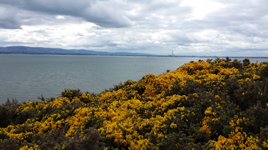 parajes irlanda dublin